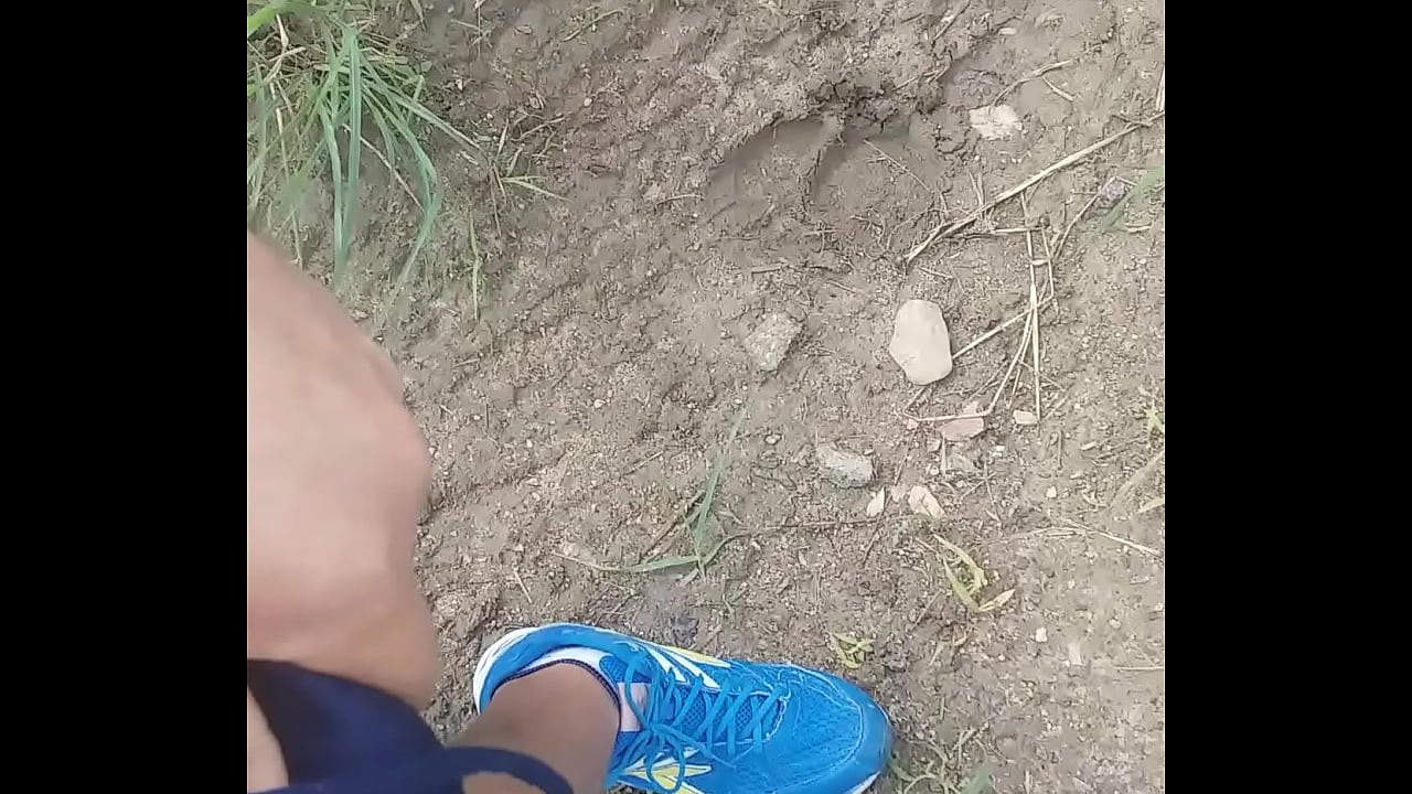 Ts&atilde;o na trilha