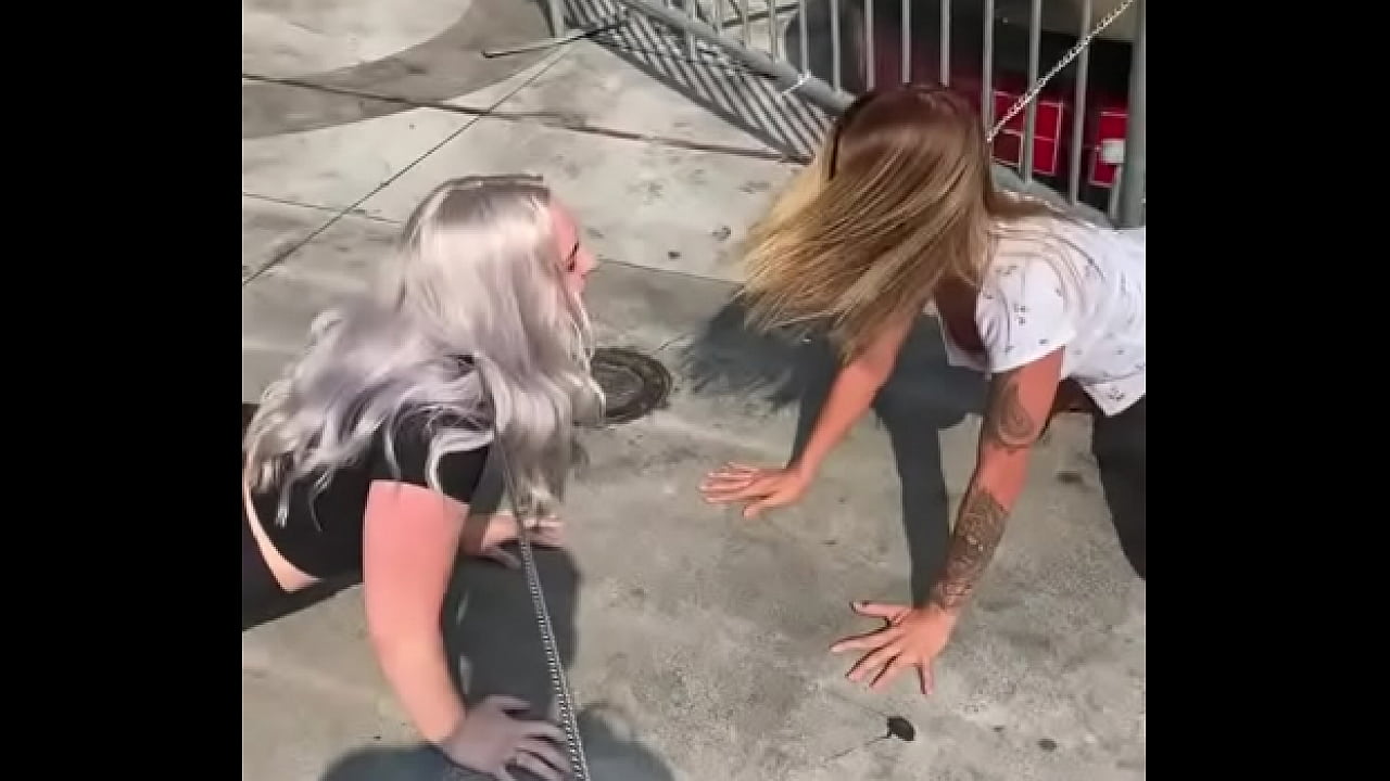 cachorra mulher de quatro engatinhando