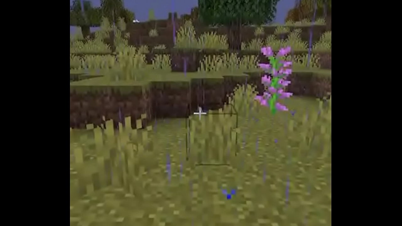 Usuario promedio de la comunidad del emi212