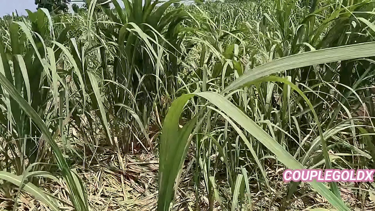 तुम्हारा लैंड इतना काला कैसे हो गया है