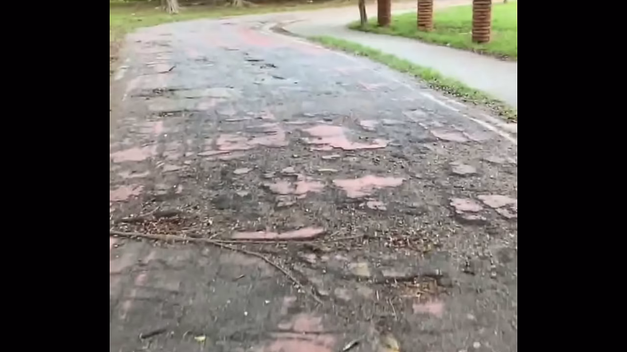 Pega&ccedil;ao gostosa no mato /Hot make-out session in the woods