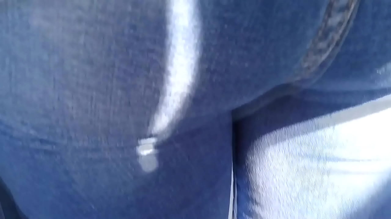 Hermosa perrita en jeans