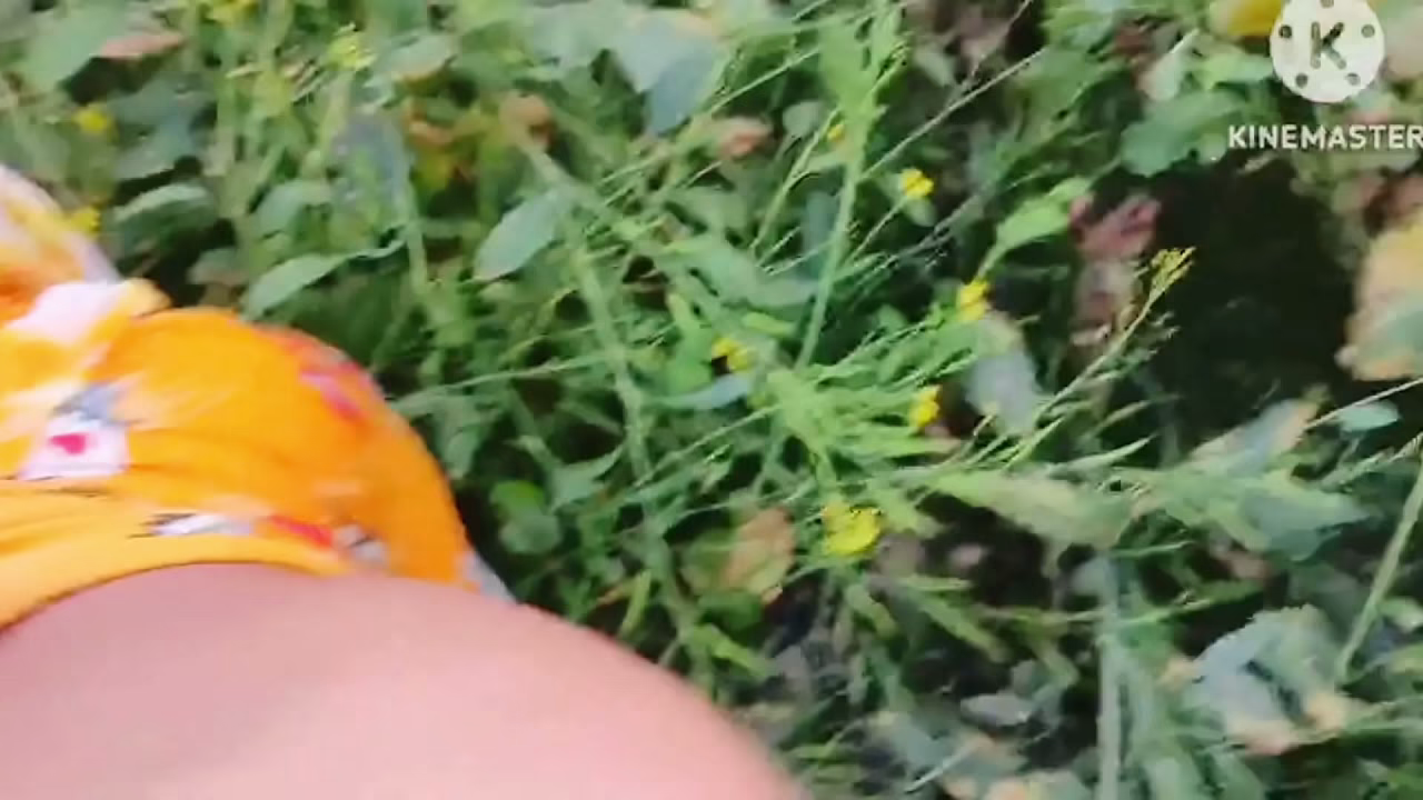 Bhabhi ko jungle mein Le jakar chudai ki aur bhabhi ke Munh mein cream bhi nikale hot bhabhi ki rasili chut ke liye