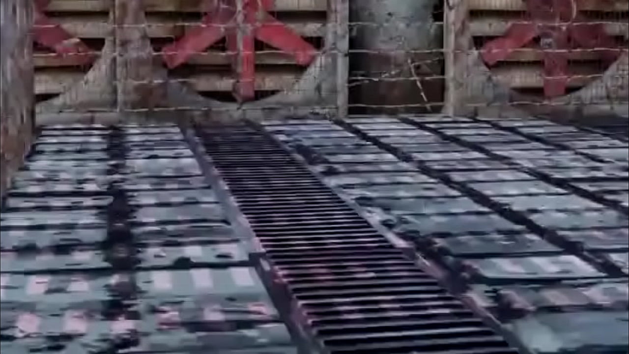 MMD Petrification Video 001