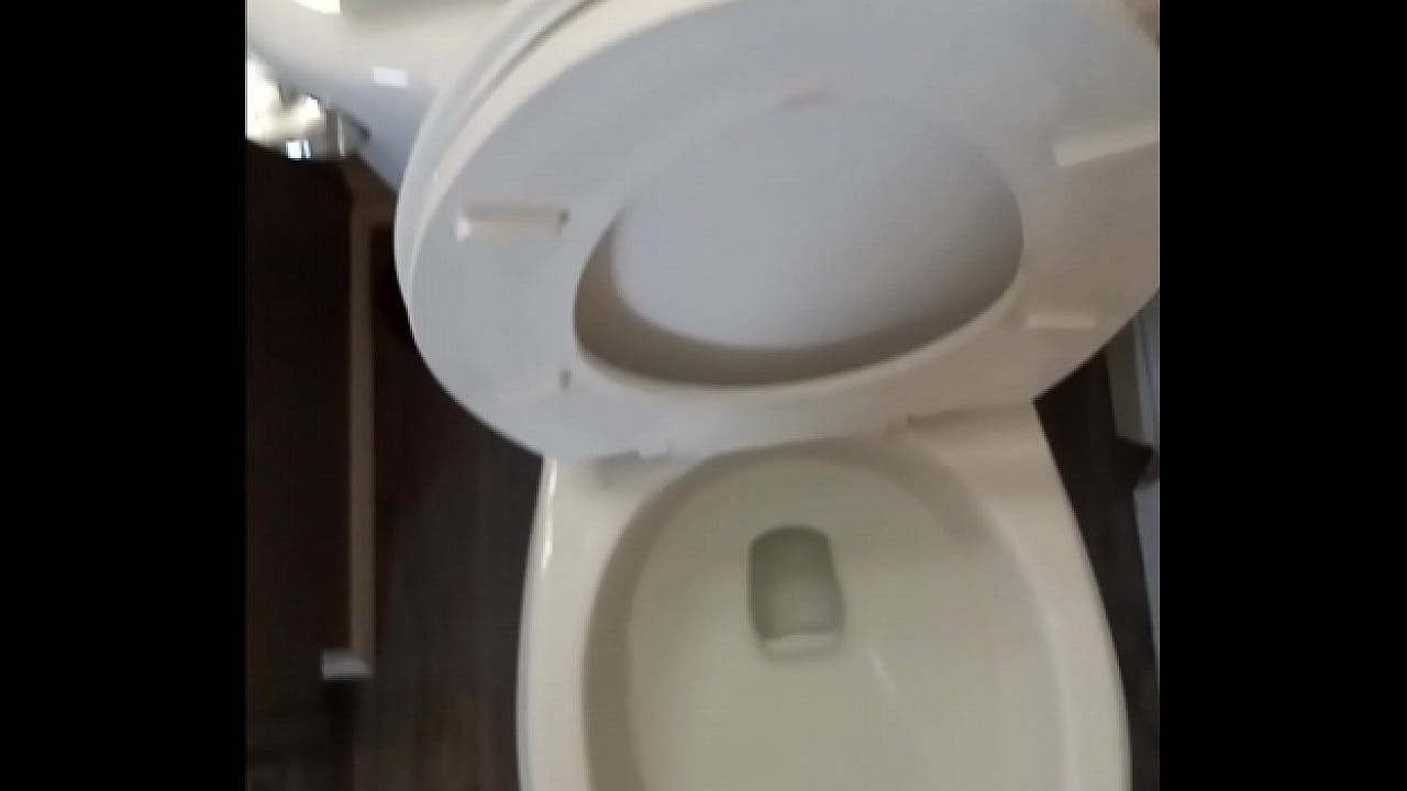 Natty Daddy finally makes it home! After many years on the streets of America., I have found a home in TN.