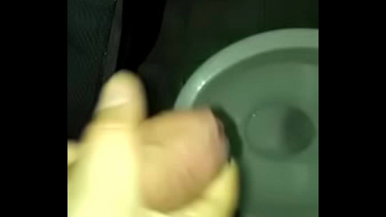 PAJA EN BA&Ntilde;O PUBLICO