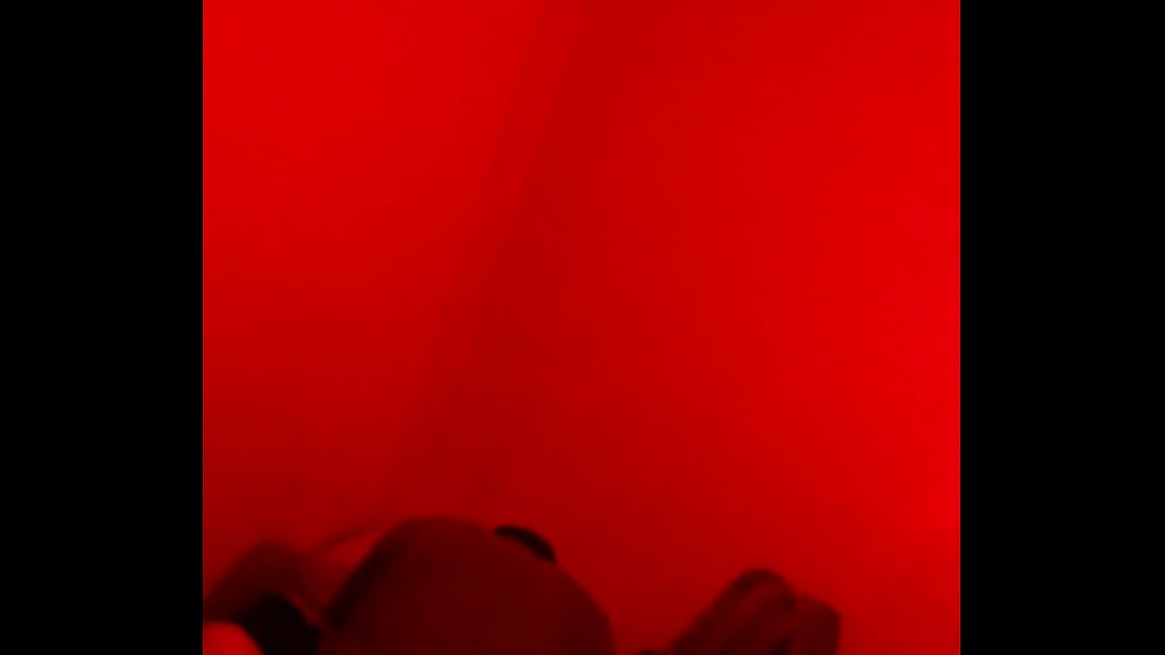 yo Dama de compa&ntilde;ia 2