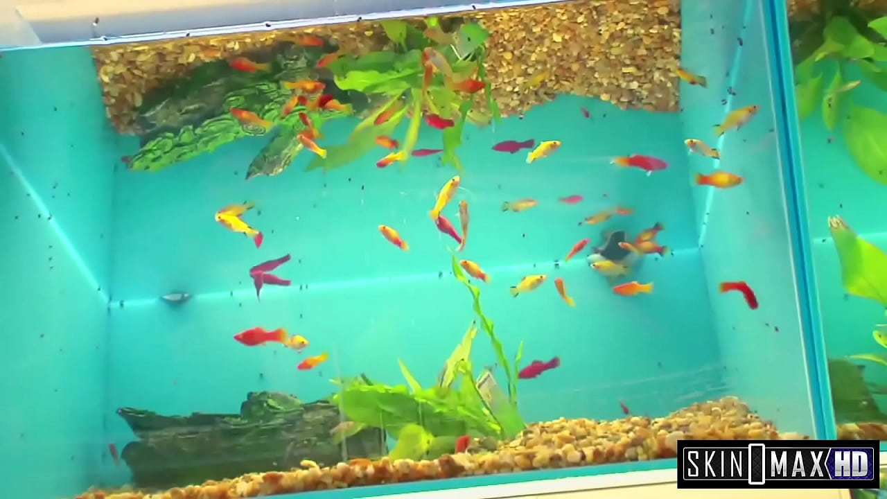 Jodi Bean Rides the Big Dick Like a Cock Starving Bitch