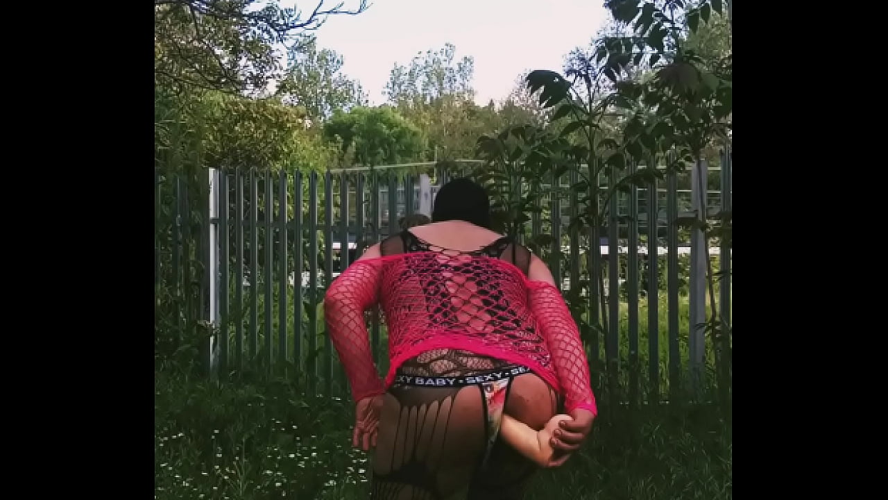 Reymisterio422 - Mirador Trans - 1000017902 - May 19, 2025