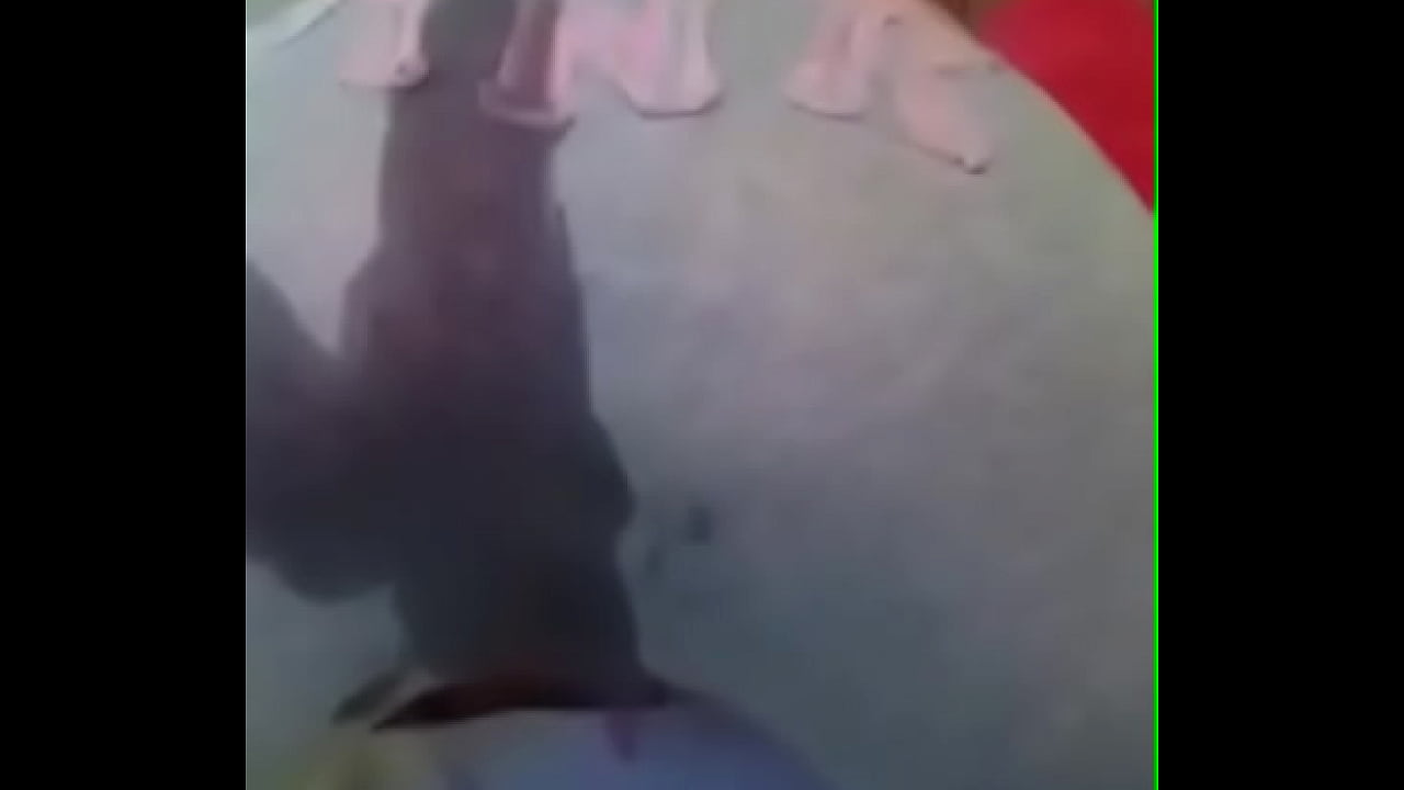 Carly making herself squirt in her trackies