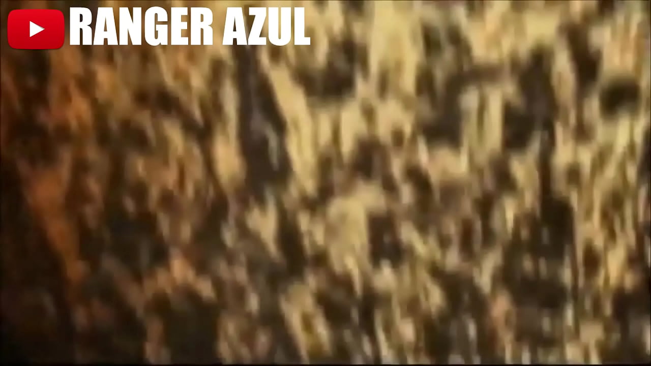 Goze olhando o qu&atilde;o tesuda &eacute; a minha testa