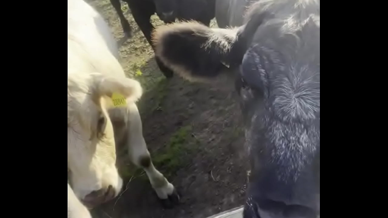 I am a country girl at heart! Would you have thought?  I find my peace in nature, soaking up the sun and embra...