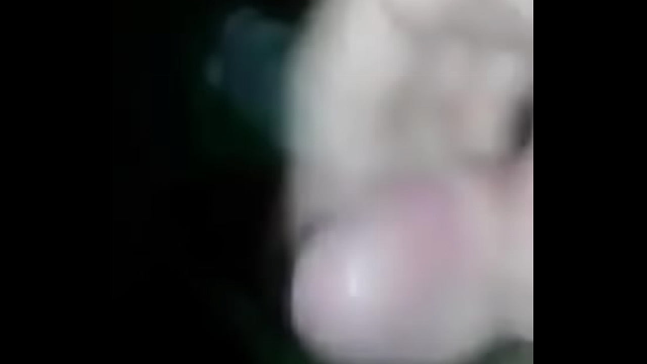 Dom&aacute;c&iacute; hoňka amat&eacute;rsk&eacute;ho zrzka r&aacute;d si hon&iacute;