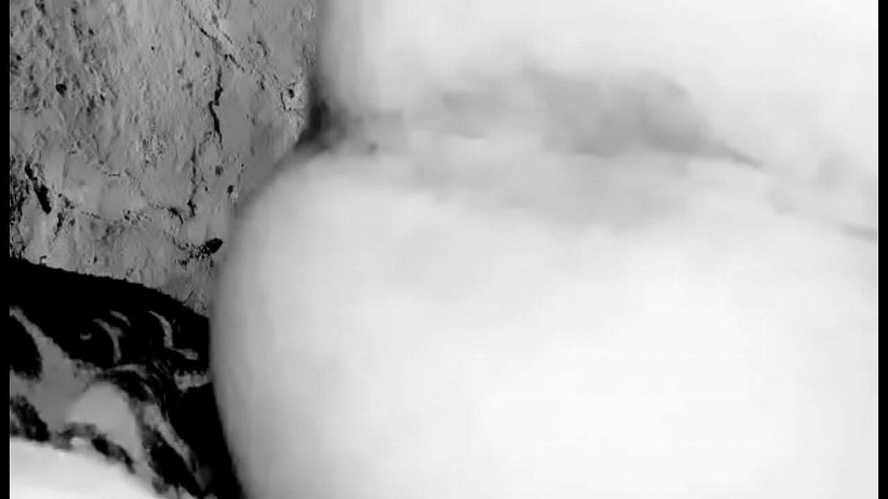 gordito se deja grabar