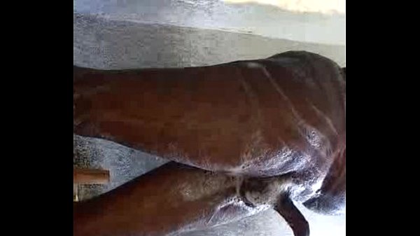 Hot boy nude bath with huge cock