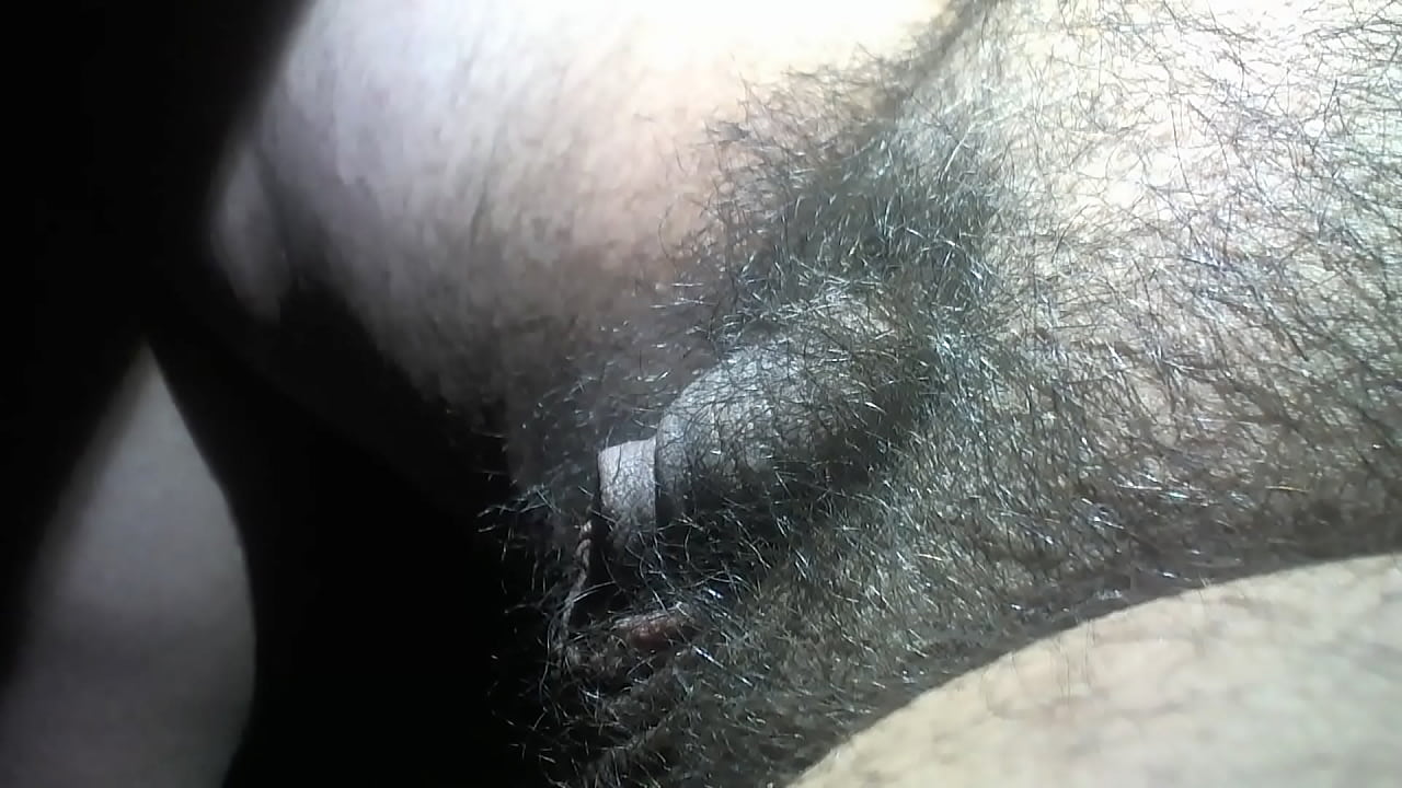 Oso se masturba hasta correrse