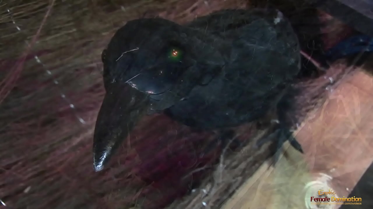 Witches use their hands and mouths to pleasure a hard cock before getting penetrated