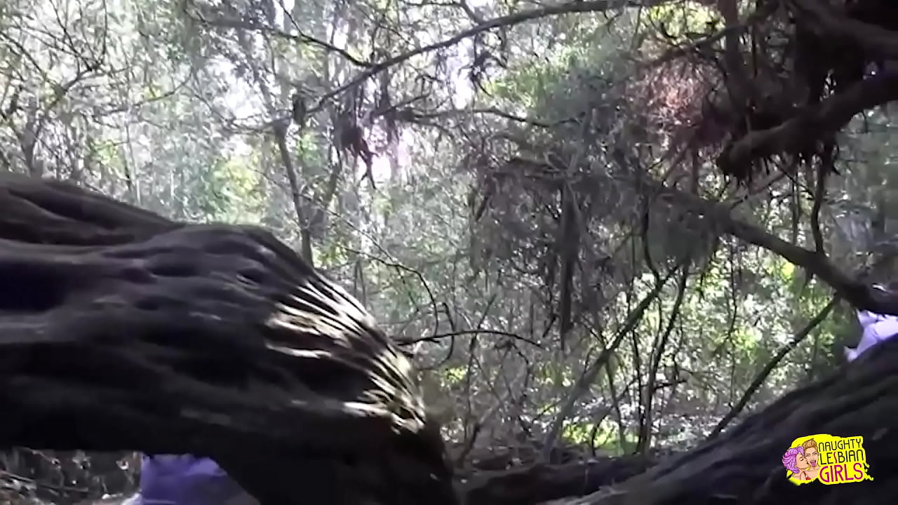 A passionate journey to the jungle is enjoyed by two brunette whores.