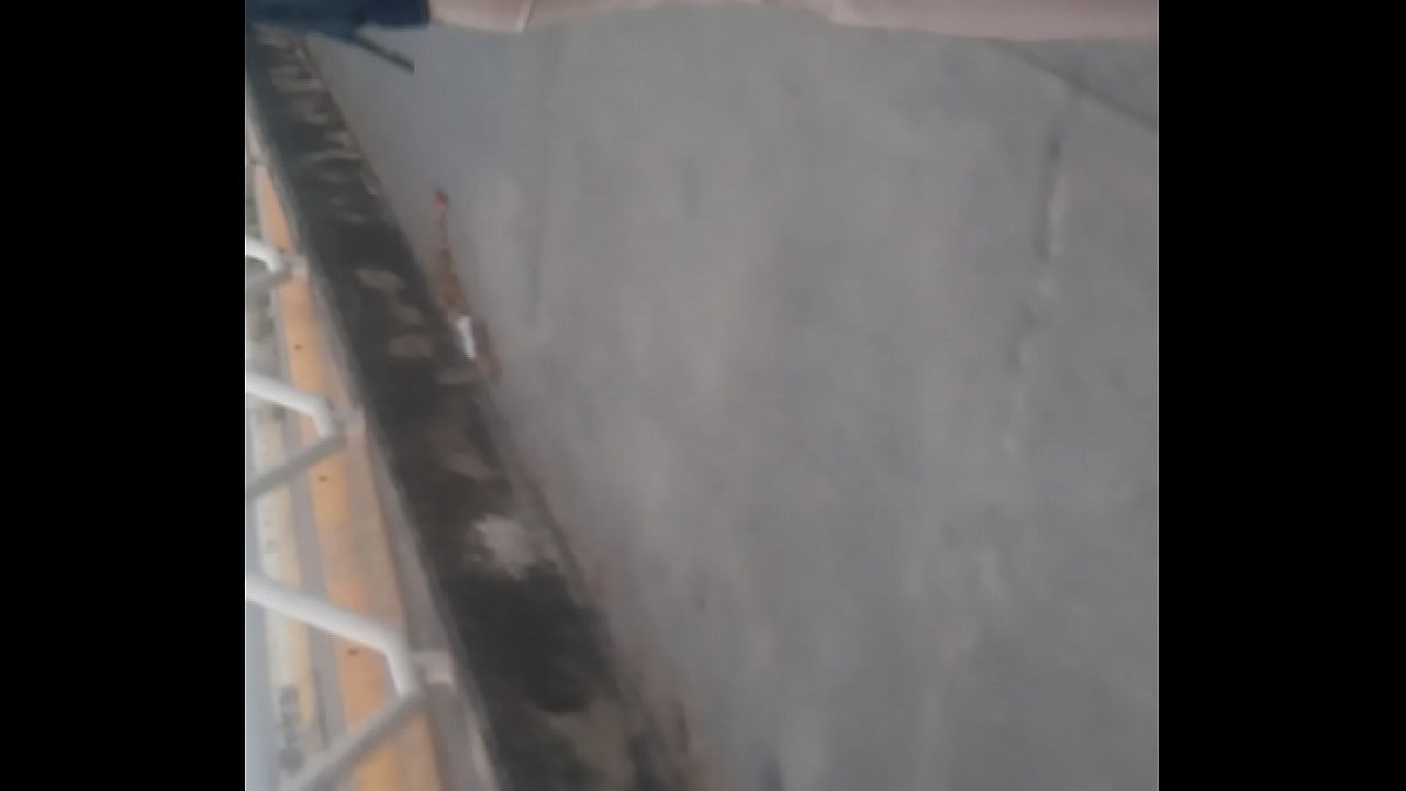 Est&aacute; zorrita pide a gritos verga