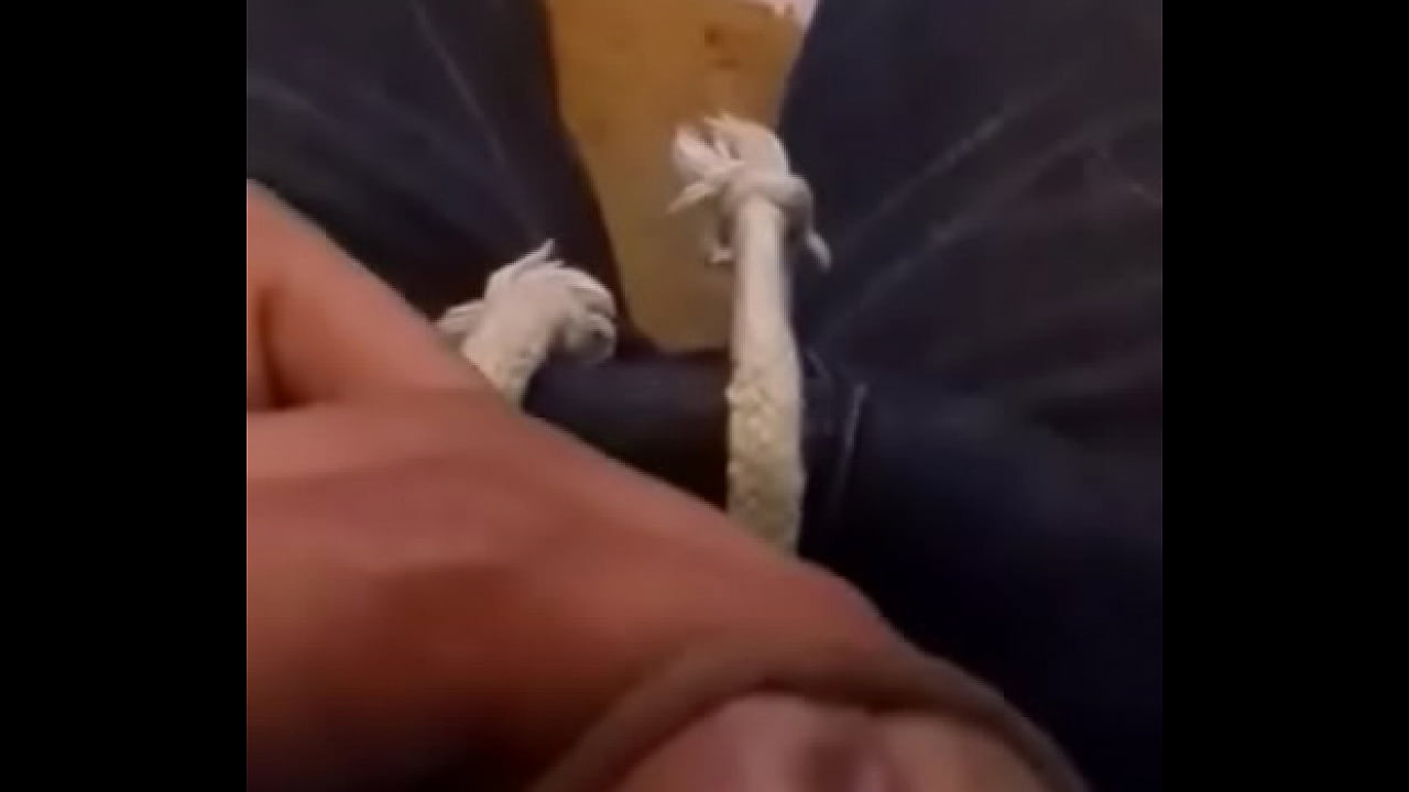 Se viene r&aacute;pido