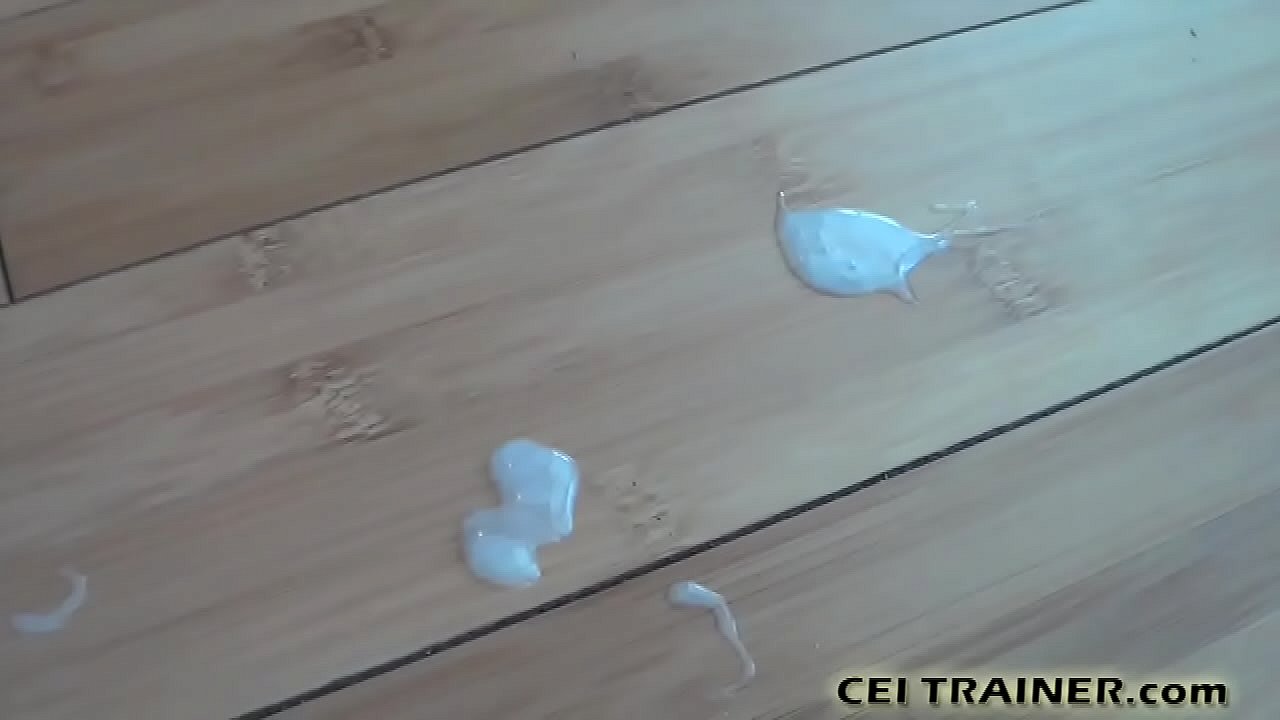 Cum Eating Encouragement JOI Masturbation