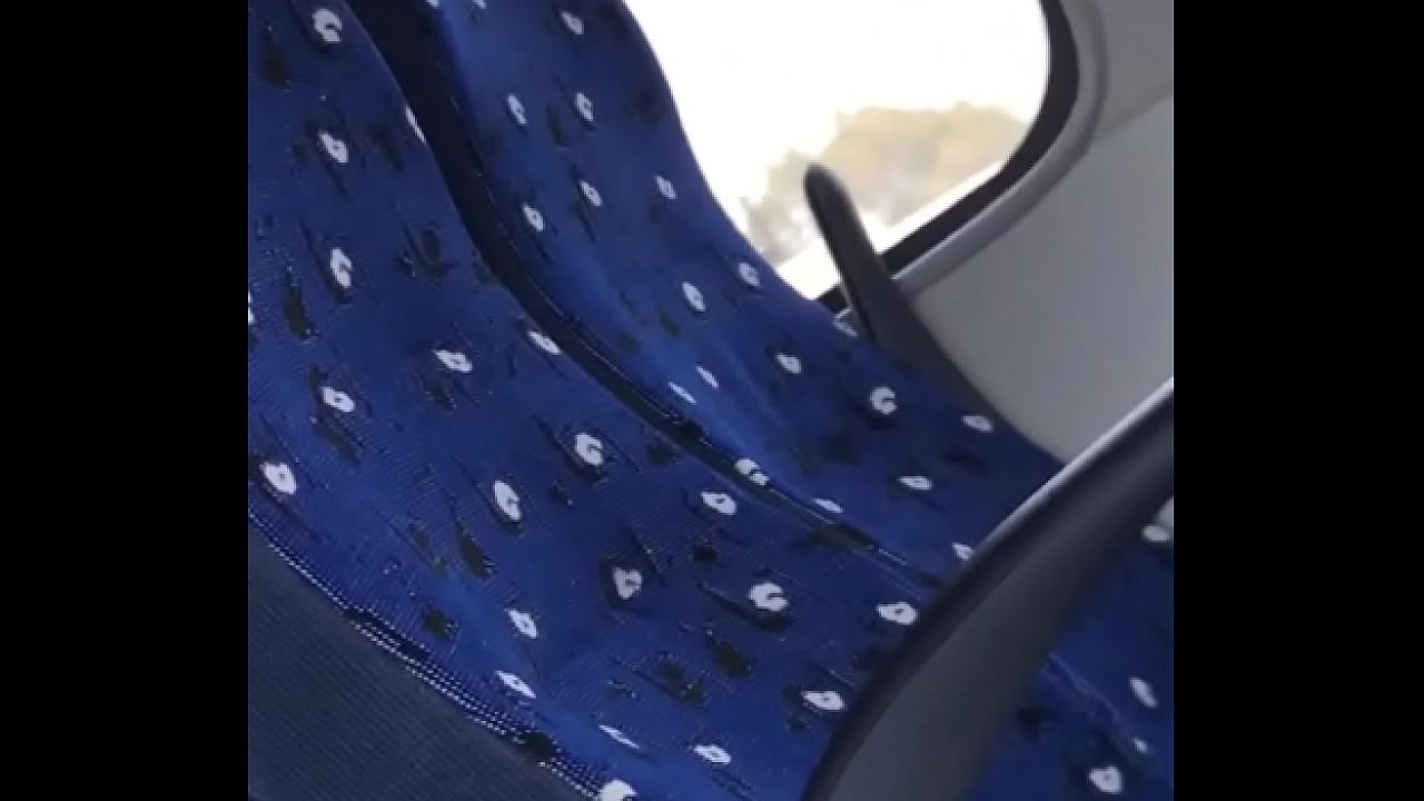 Maduro en transporte p&uacute;blico