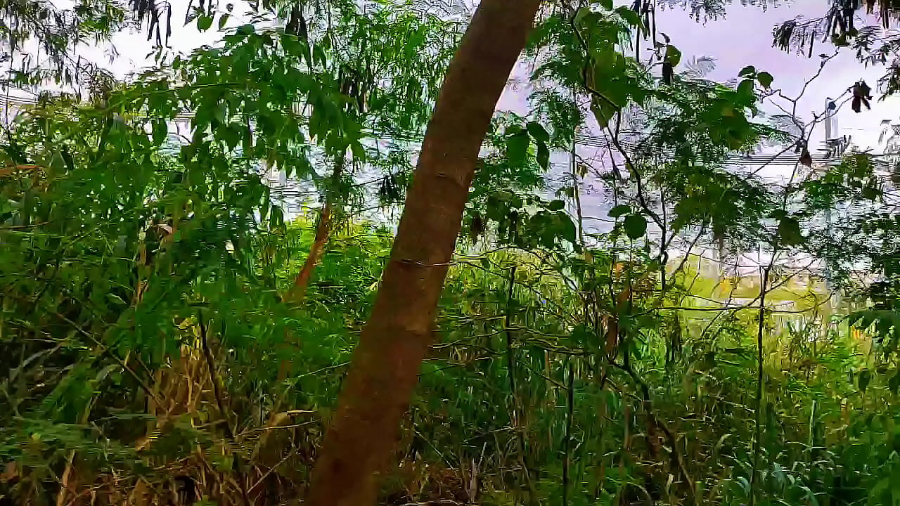 Homens na trilha fazendo pega&ccedil;&atilde;o em p&uacute;blico.