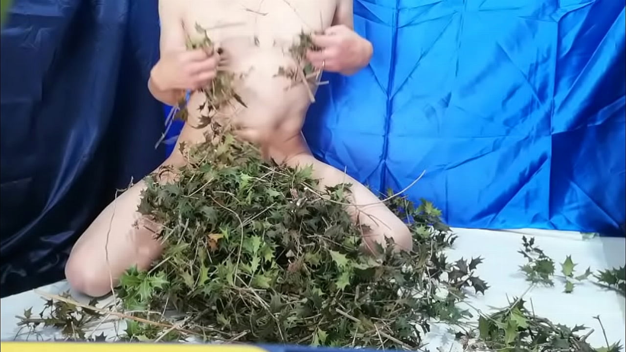 An asian man rubbing his naked body with the thorny leaves of a holly.