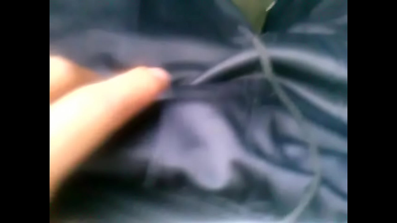 paja en el cami&oacute;n df