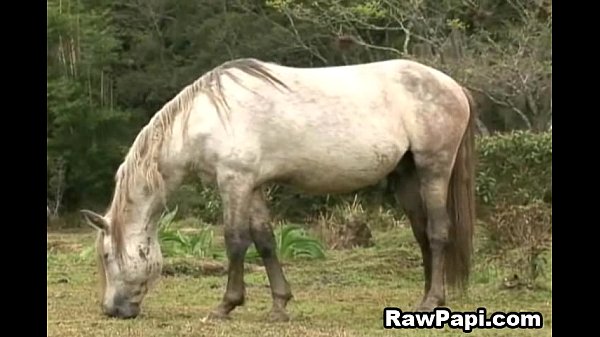 Hot Latino Gay Bareback Scene Hardcore