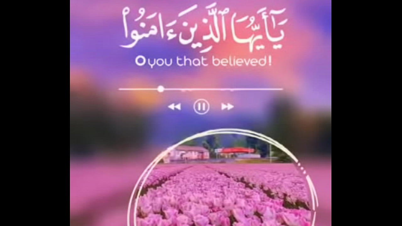 فيديو التحقق