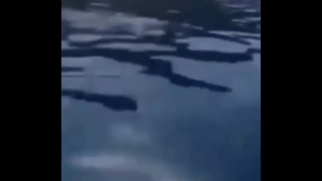 EEEEEEEEEIITA QUENGAS