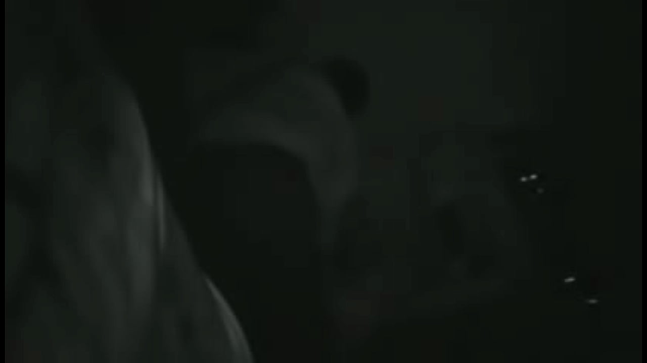 AMANDA LA OXAPAMPINA