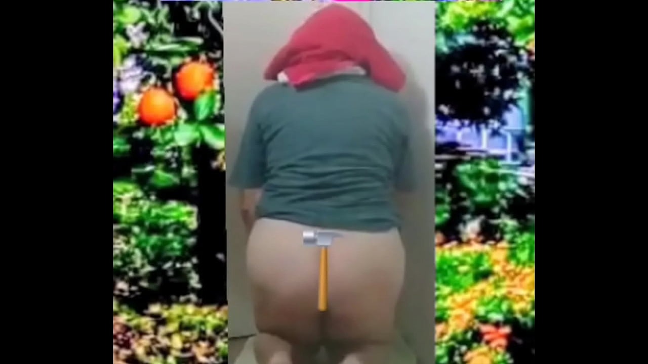 Zea812 - update #236 - 1000058064 - Jul 11, 2025