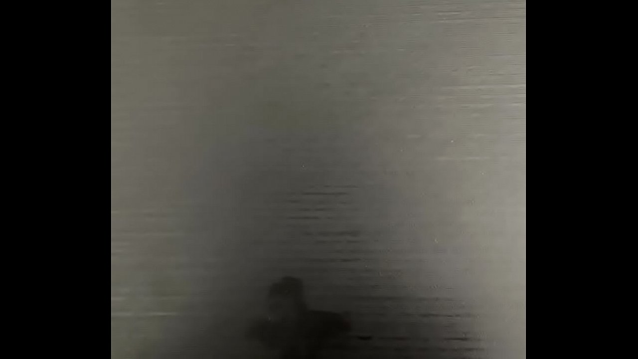 JO my hard uncut dick