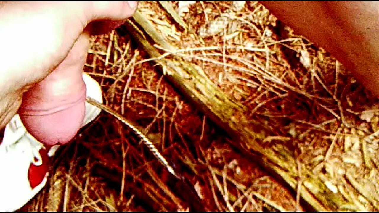 Geiler fick im wald mit einer sklaven sau .AVI