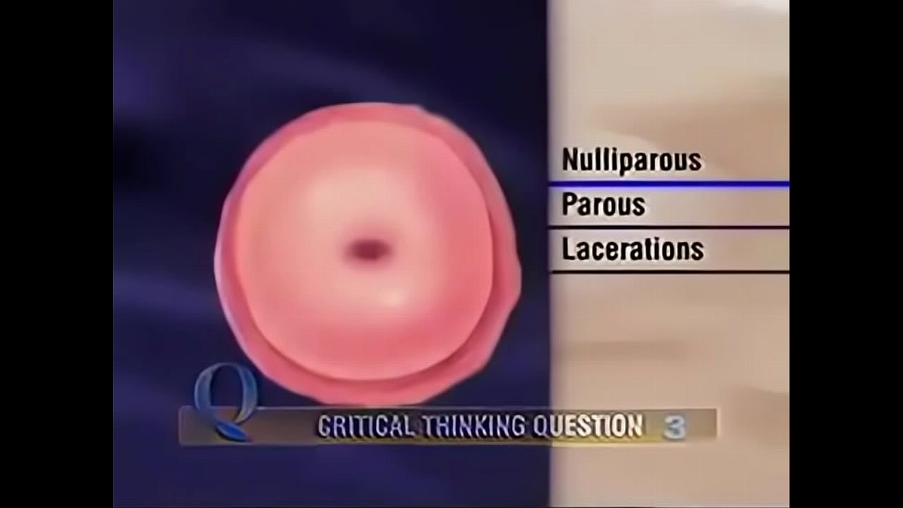 Female Vagina And Anus Check.