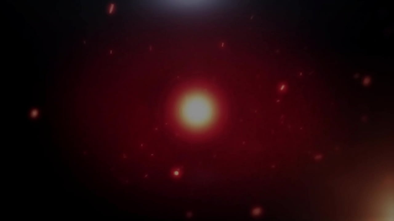 Lisa Rivera and Don Whoe share white teen Slut Sloppy Blowjob