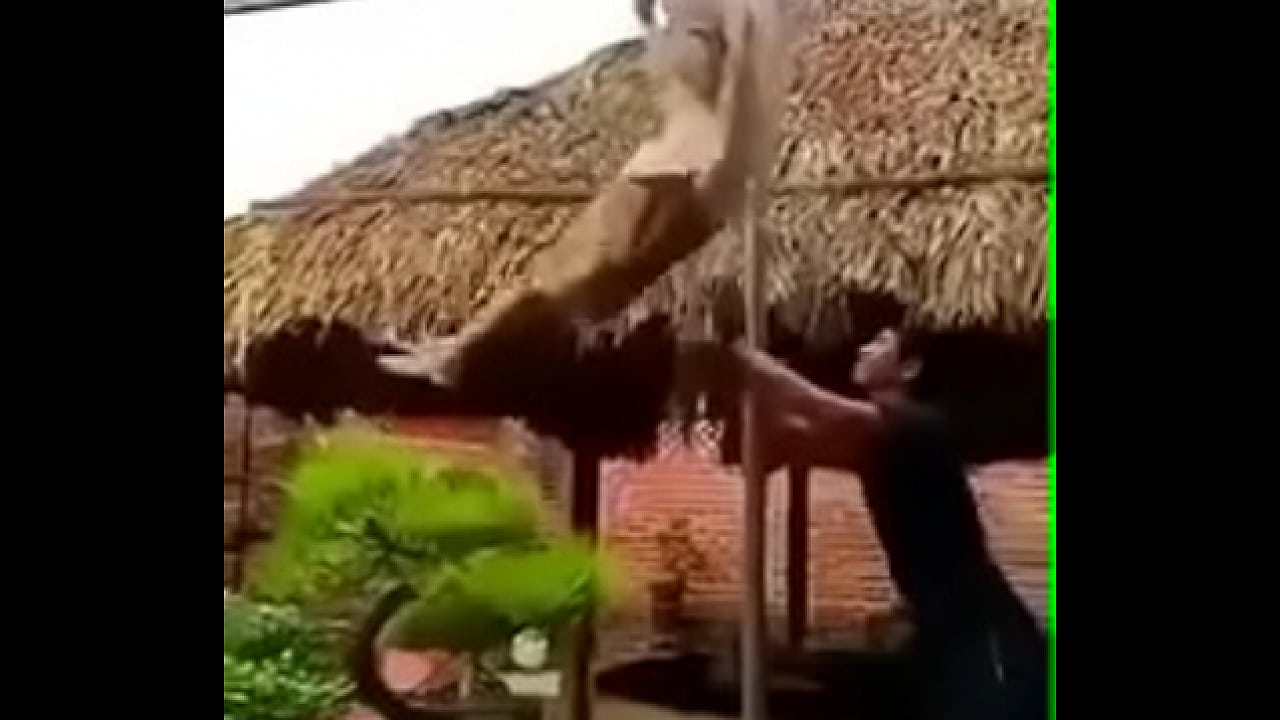 Troll h&agrave;i hước 2019