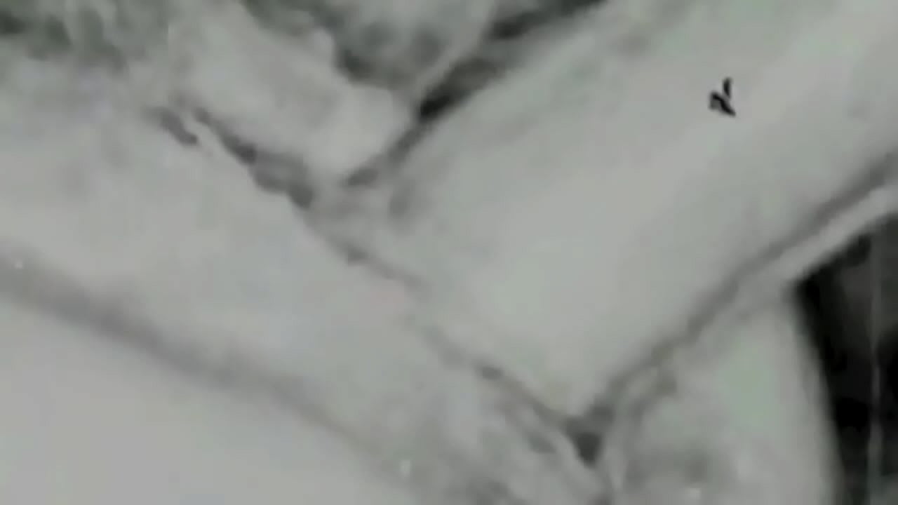 ' Fashion' from My Secret Life, The Sexual Memoirs of an English Gentleman