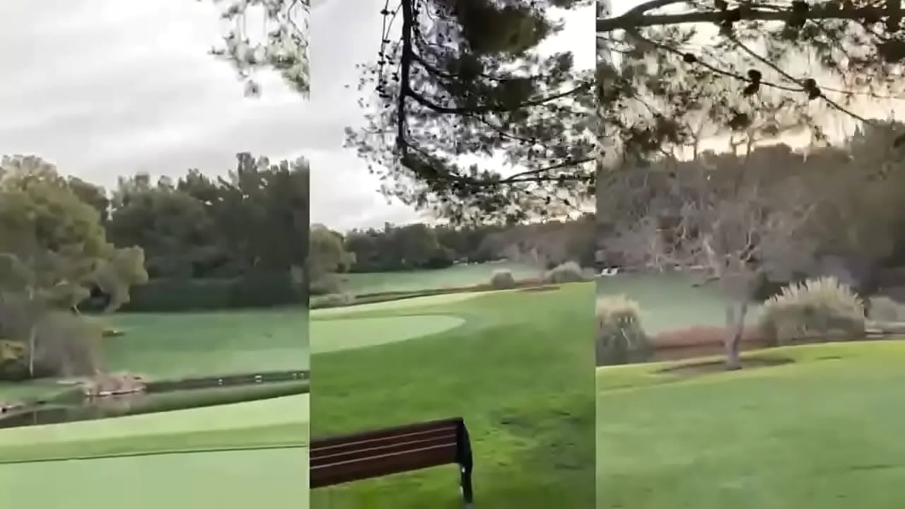 Big booty white chick sucks my whole dick