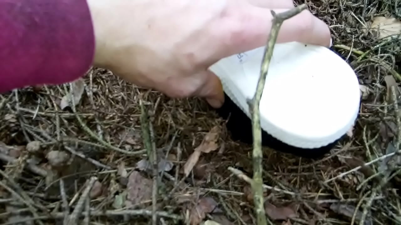 Adidas versus mravency part.4  po 4 dnech v mraveni&scaron;ti