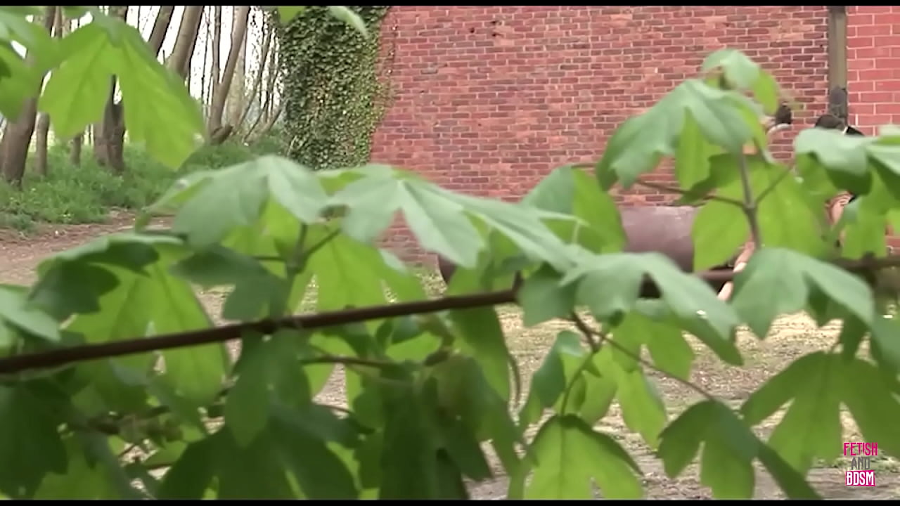 A fair-haired woman with braided hair runs across a field till she encounters two roosters to engage in oral stimulation