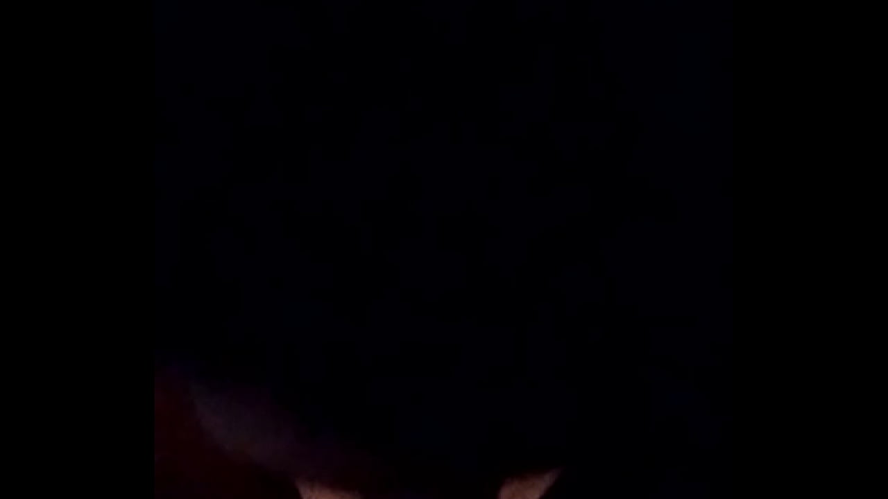 Blowjob from girlfriend