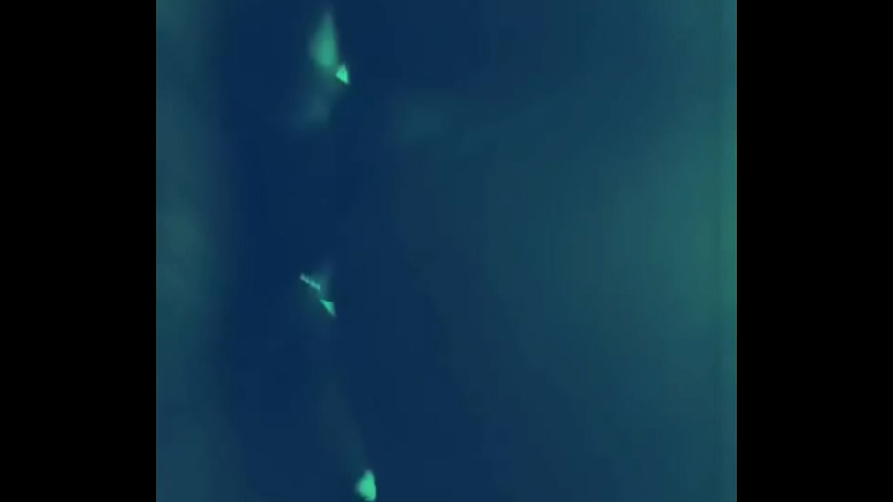 Bad Girl Resume Night Duty