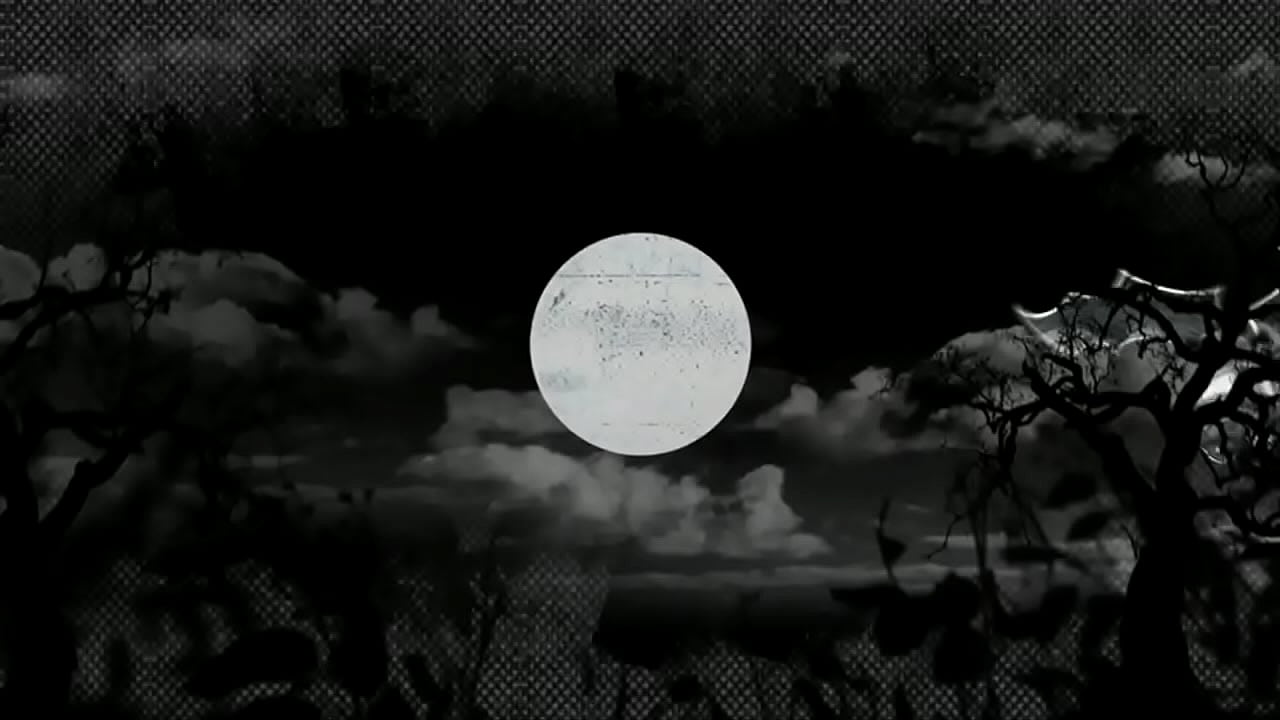 A Facial And Cum To Swallow!