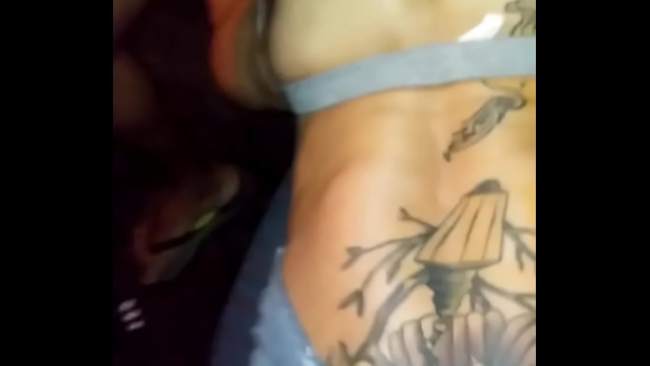 Passivao de Paul&iacute;nia