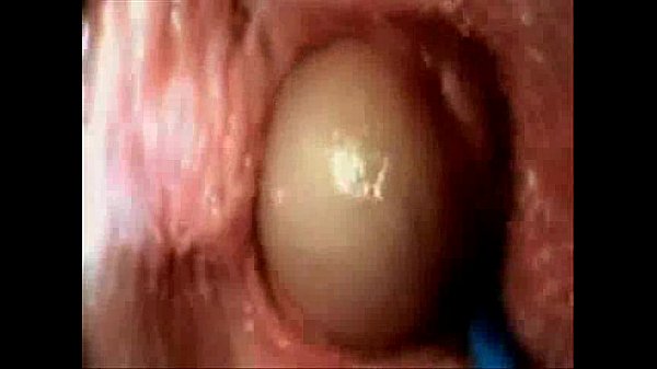 internal vagina sex