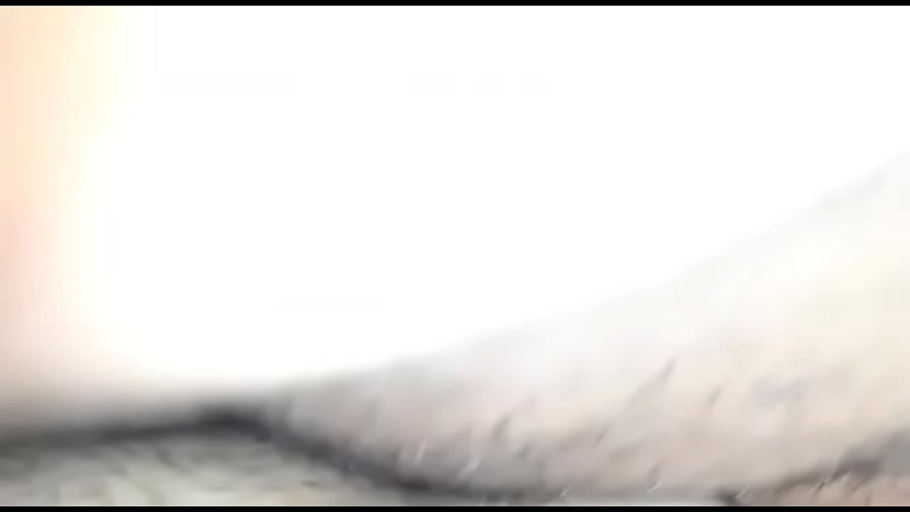 Sexo caseiro amador brasileiro