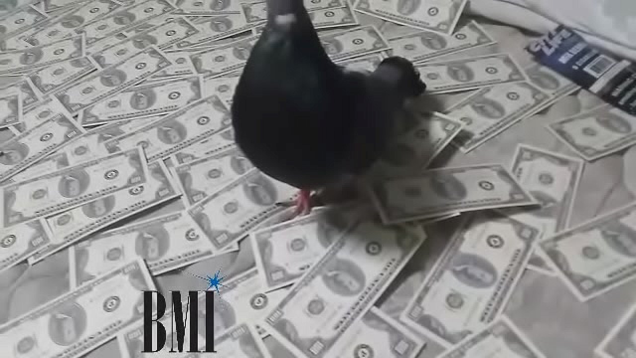 RO lay you down high definition